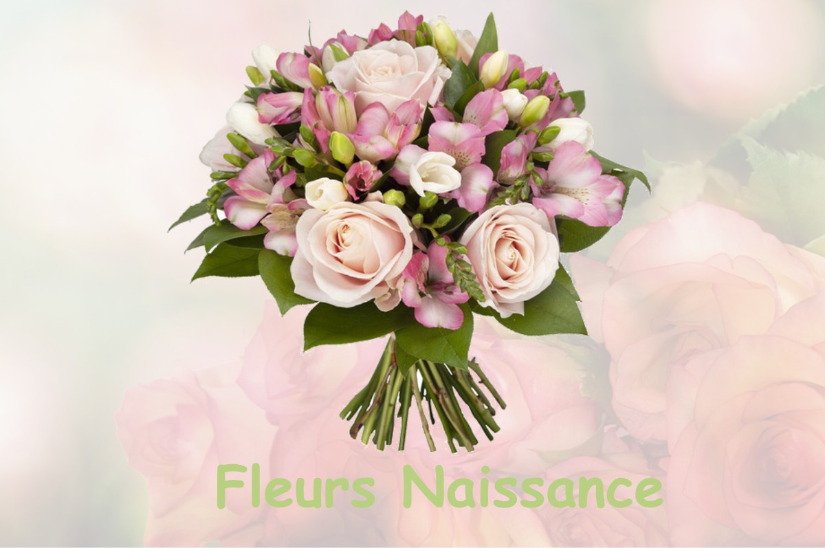 fleurs naissance SABONNERES