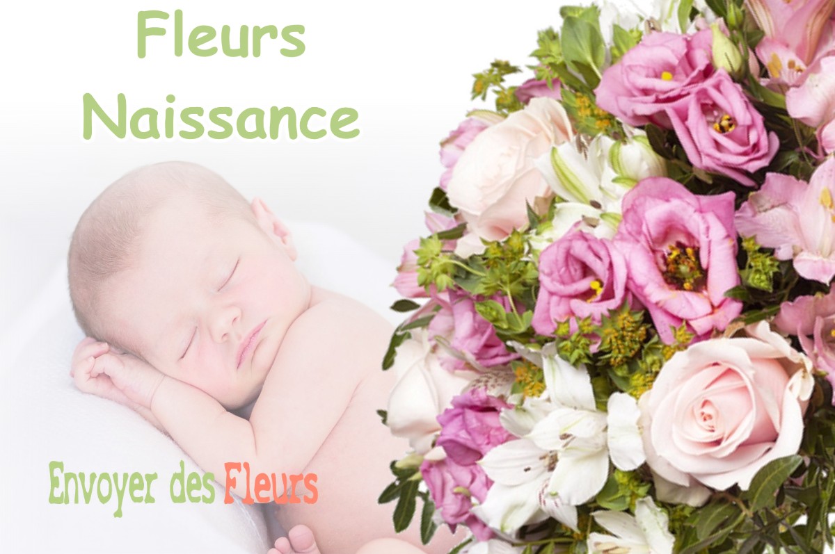 lIVRAISON FLEURS NAISSANCE à SABONNERES